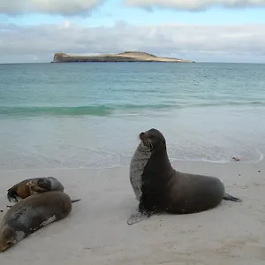North Seymour Puerto Ayora (Galapagos Islands)